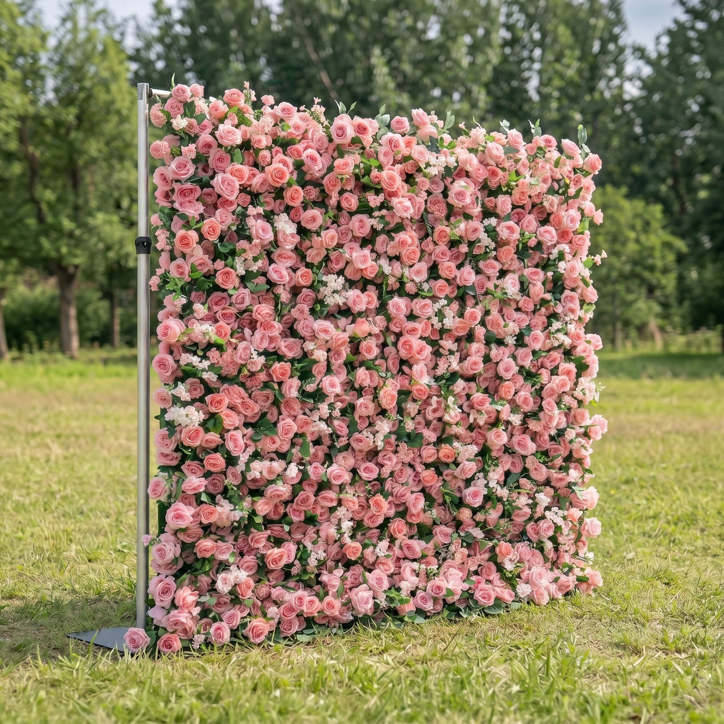 Light red rose flower wall side view