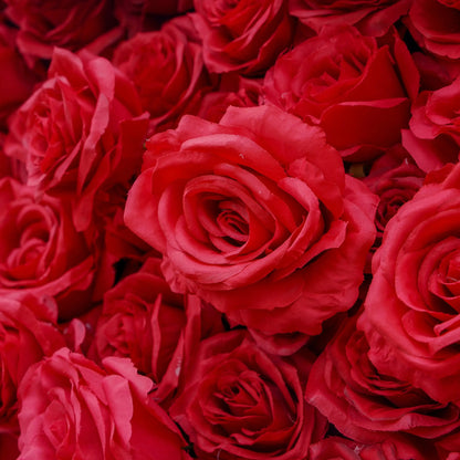Artificial flower wall product image 5 by Rosy Flower Wall
