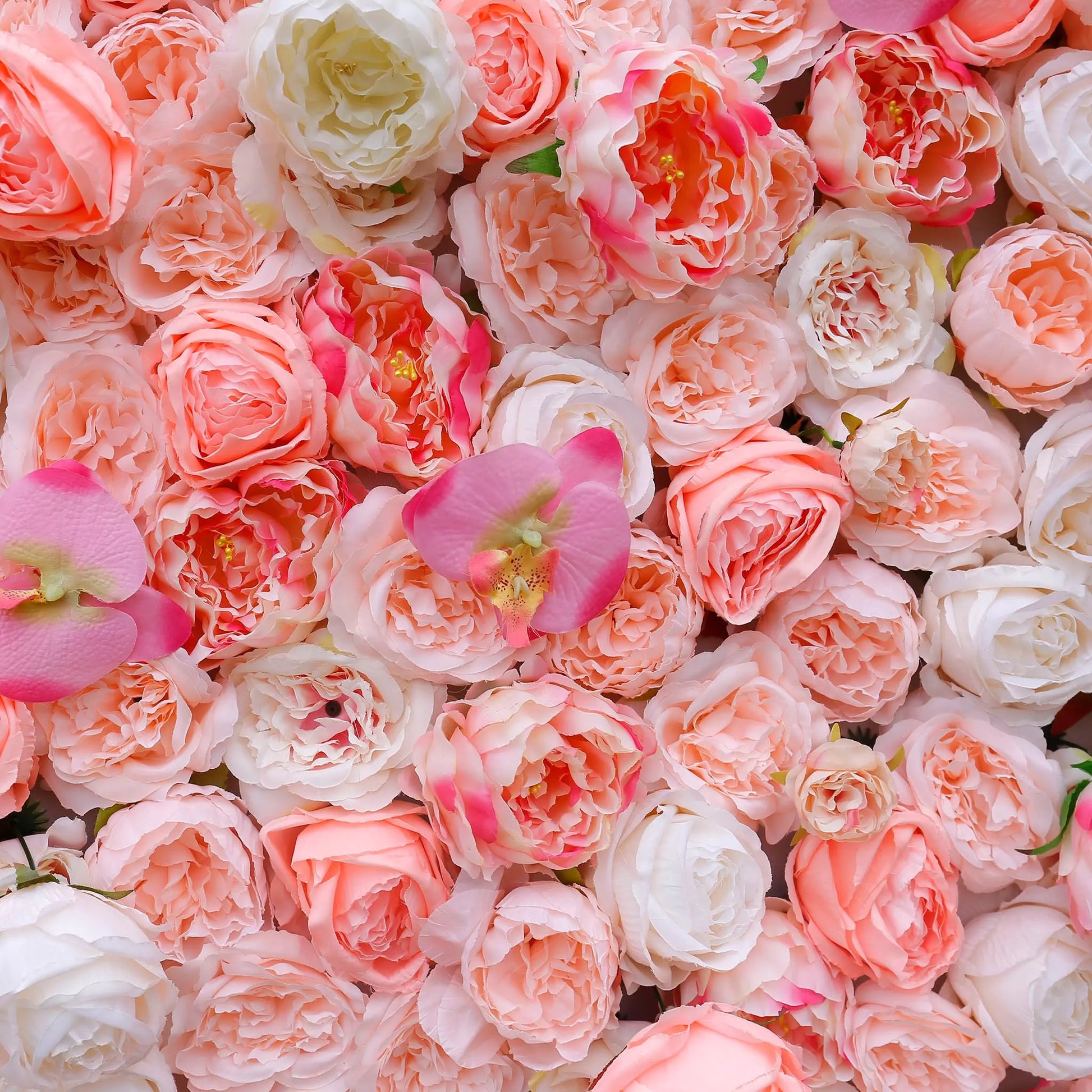 Rosy 3D Pink Blush Peony Wall Flowers Decor