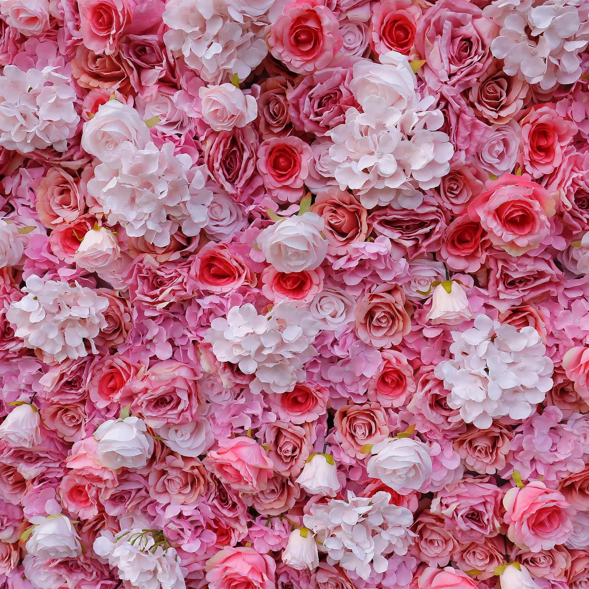 Rosy 3D Pink White Peony Hydrangea Flower Wall