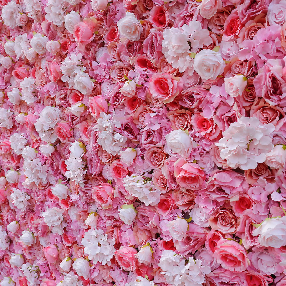 Rosy 3D Pink White Peony Hydrangea Flower Wall