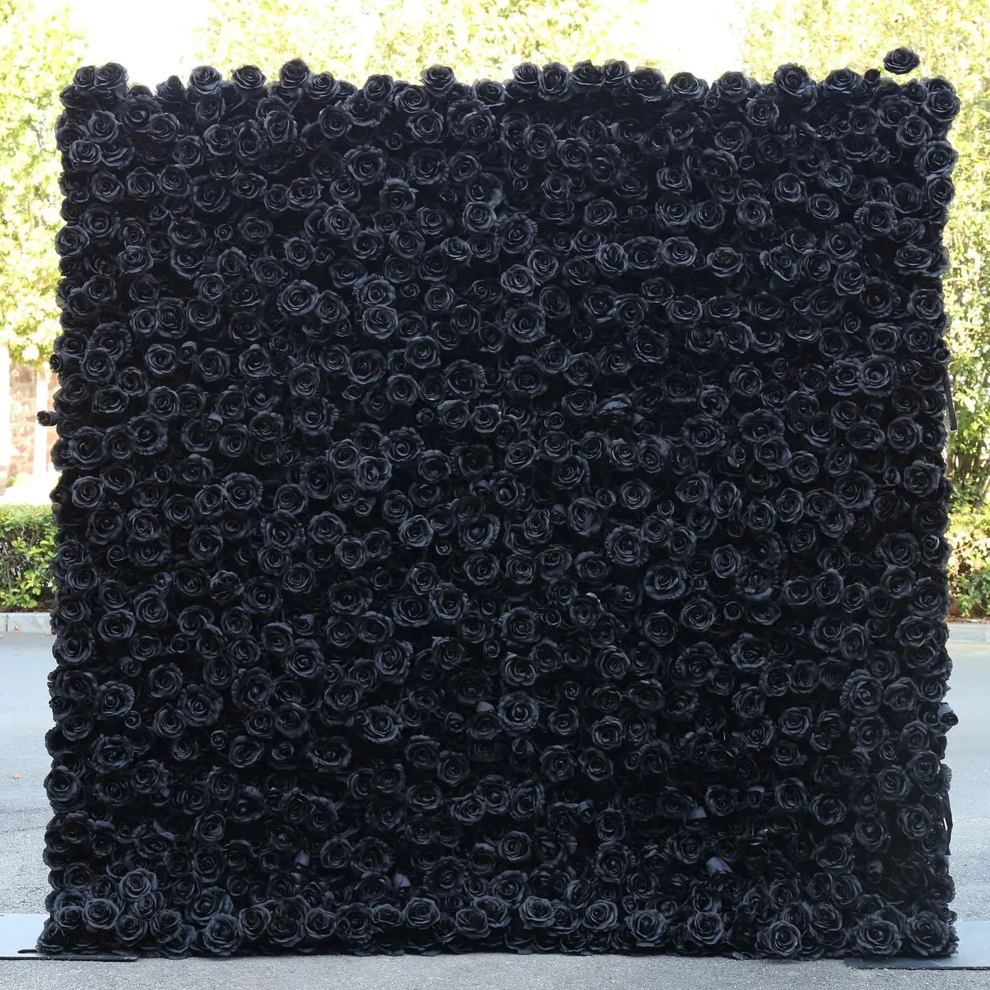 Rosy Luxury 3d Black Rose Flower Wall Rolling Up Floral Backdrop