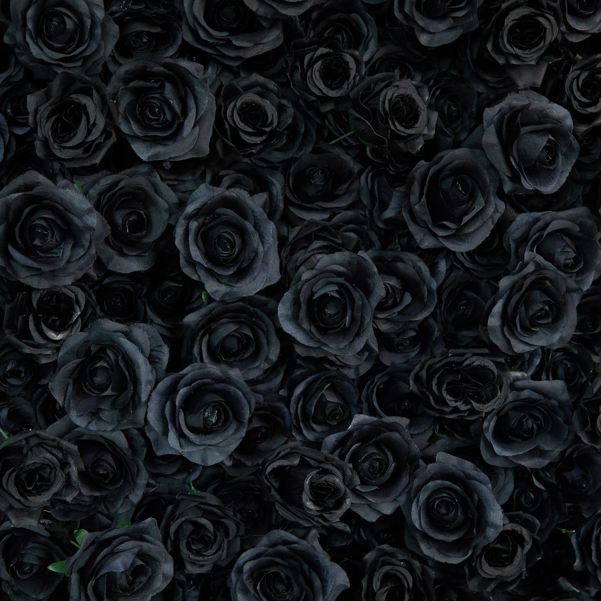 Rosy Luxury 3d Black Rose Flower Wall Rolling Up Floral Backdrop