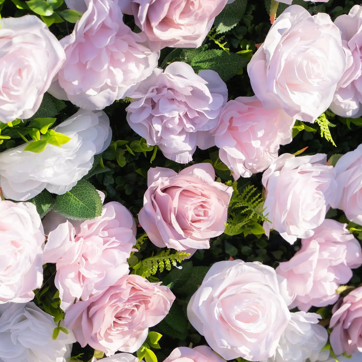 Pink white mauve silk rose flower wall close-up