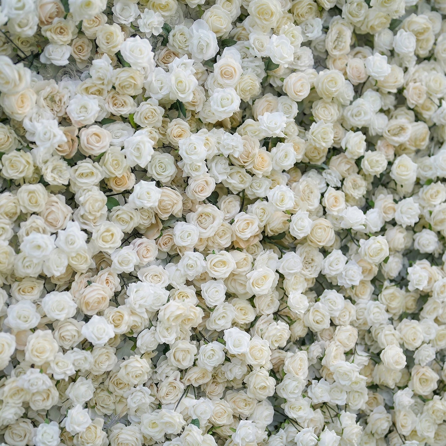 Elegant white floral backdrop close-up