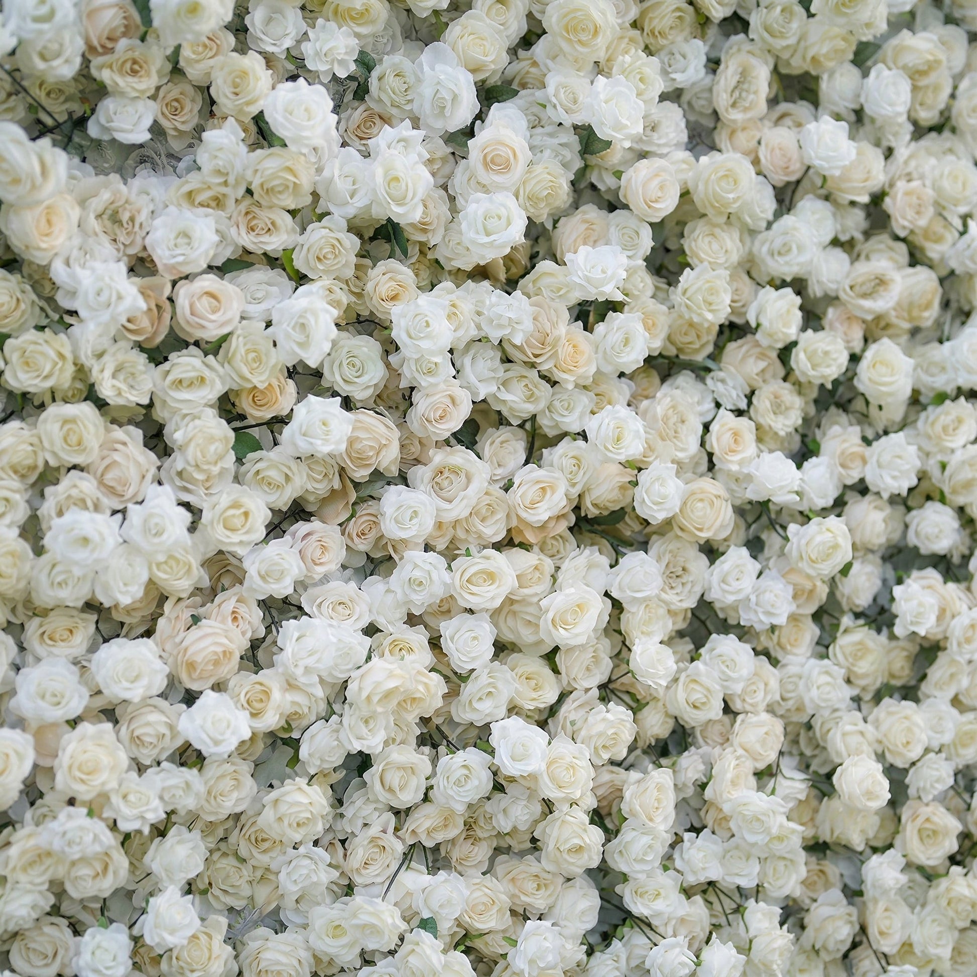 Elegant white floral backdrop close-up
