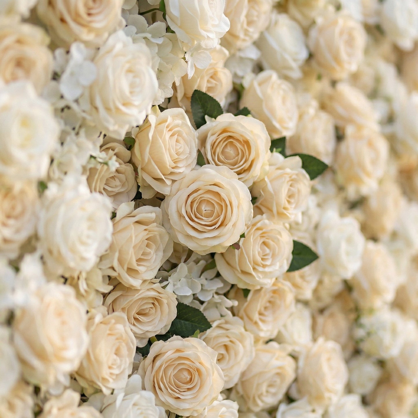 Ivory and white silk rose flower wall close-up