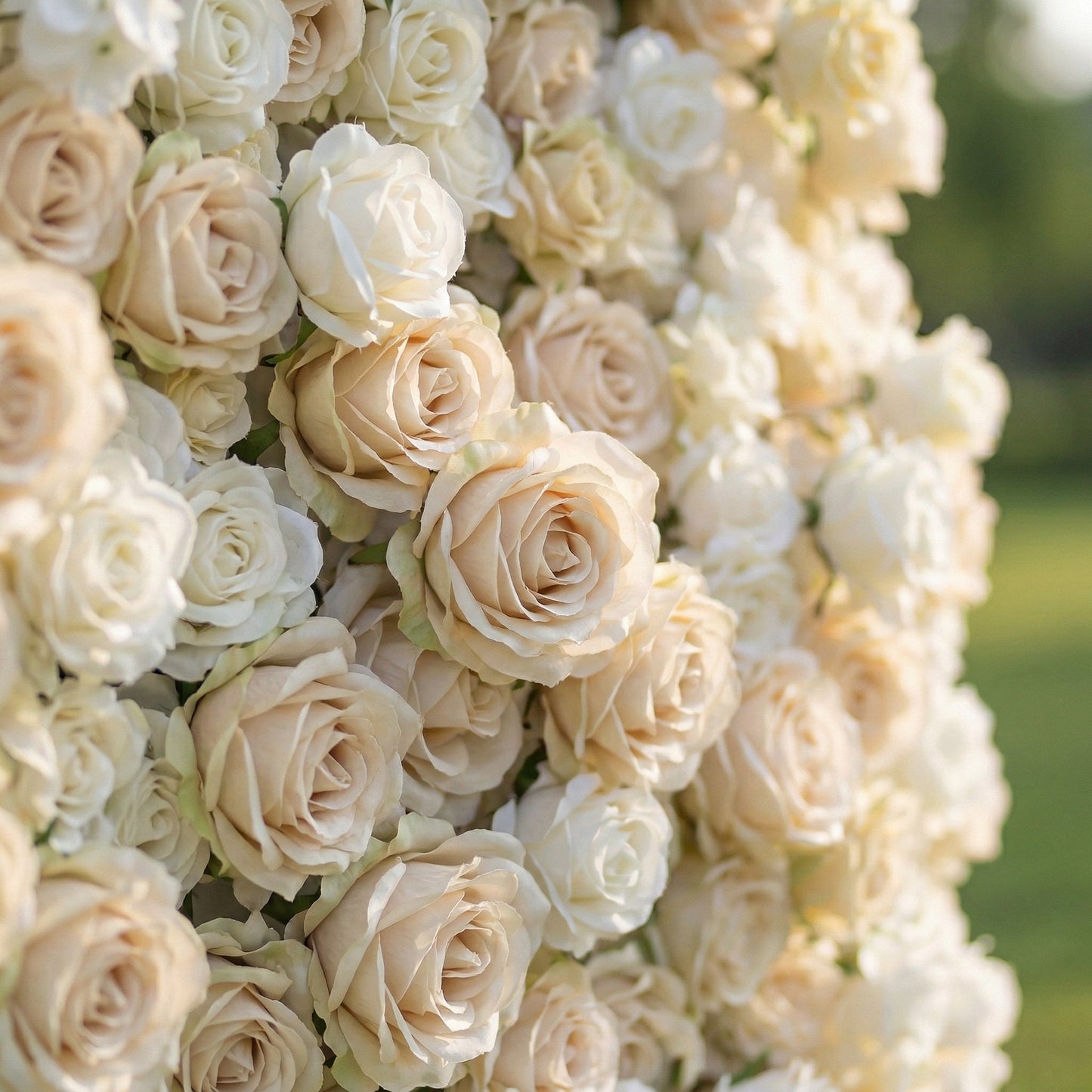 Dimensional ivory rose flower wall texture