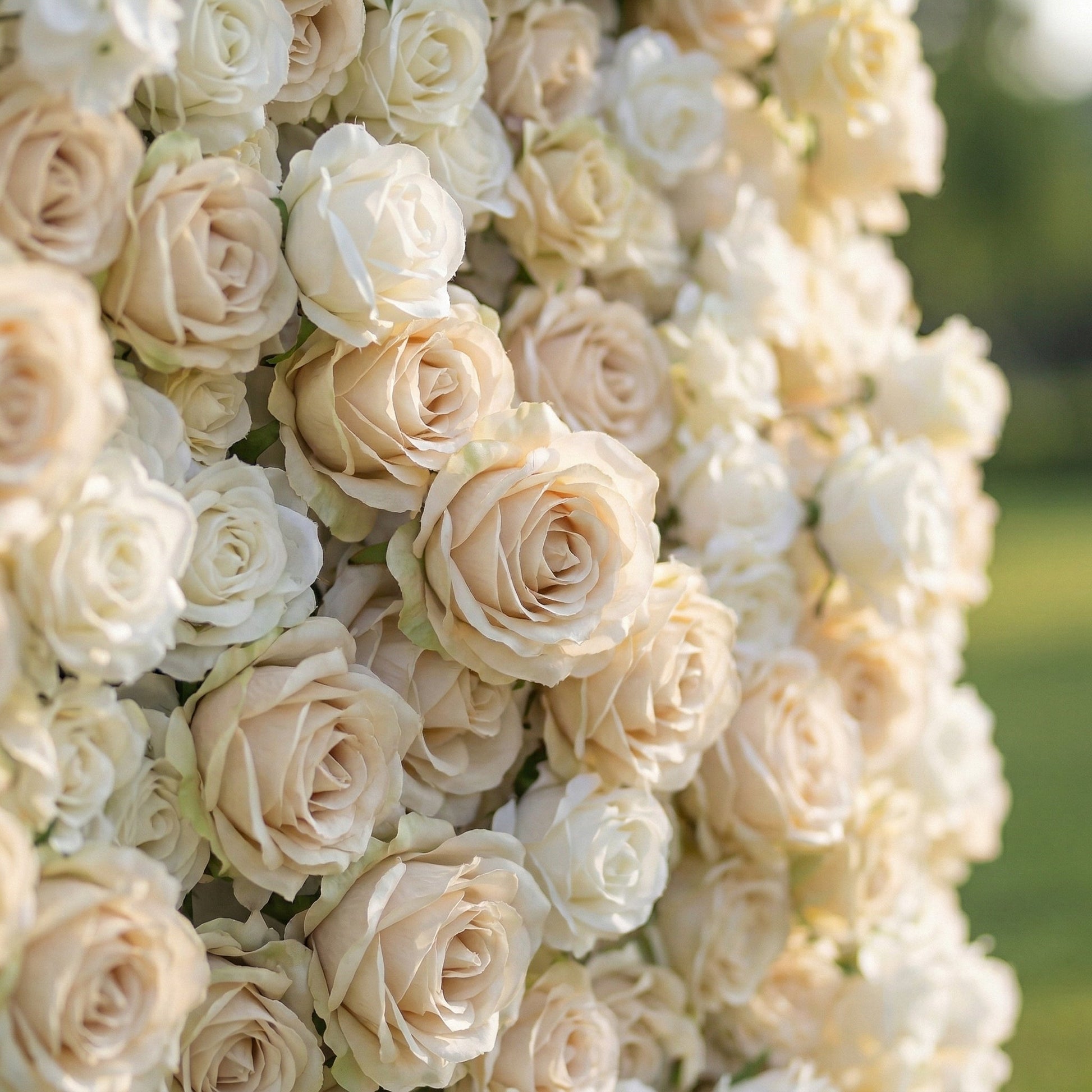 Dimensional ivory rose flower wall texture