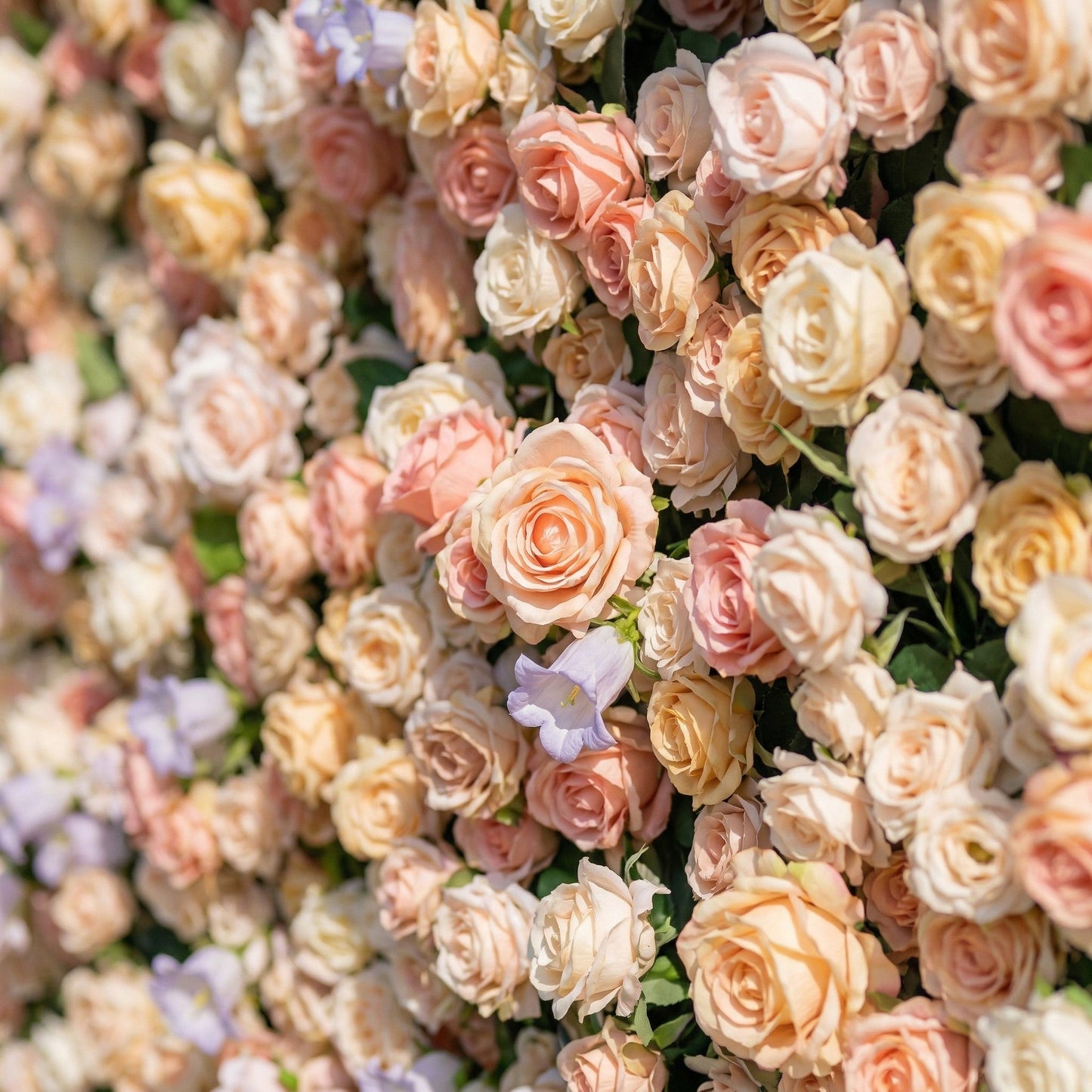 Peach champagne silk rose flower wall detail