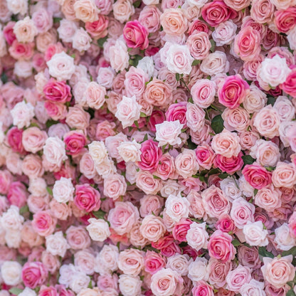 Blush and fuchsia floral backdrop close-up