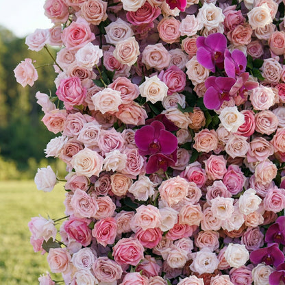 Purple orchid blush rose flower wall close-up