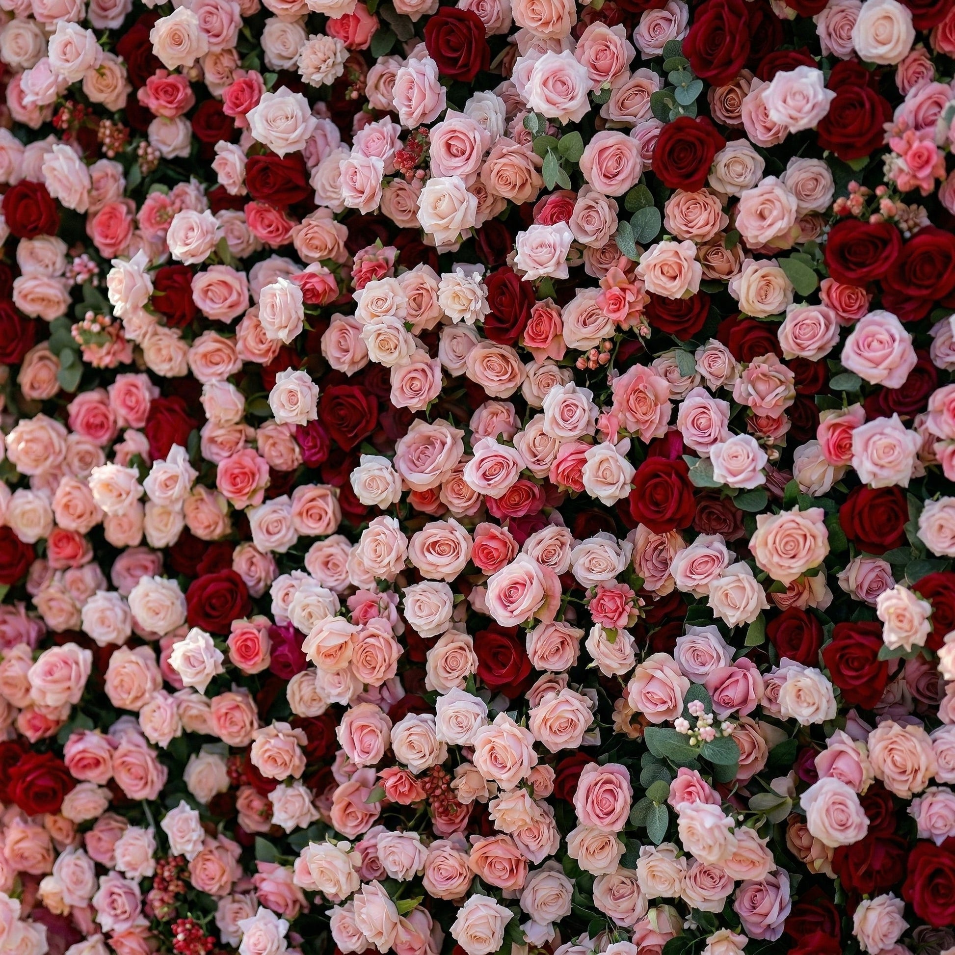 Dimensional red and pale pink rose wall detail