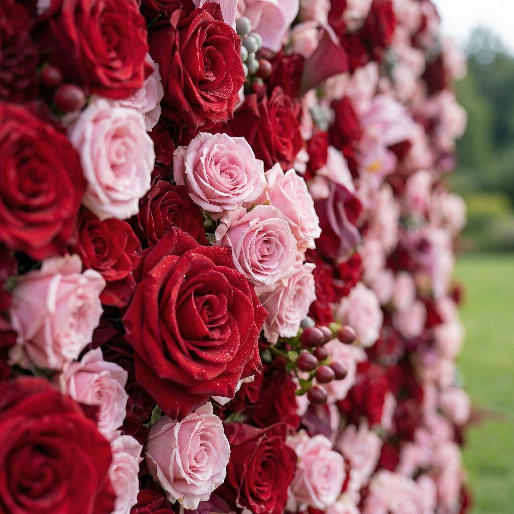 Red pink orchid and rose flower wall detail