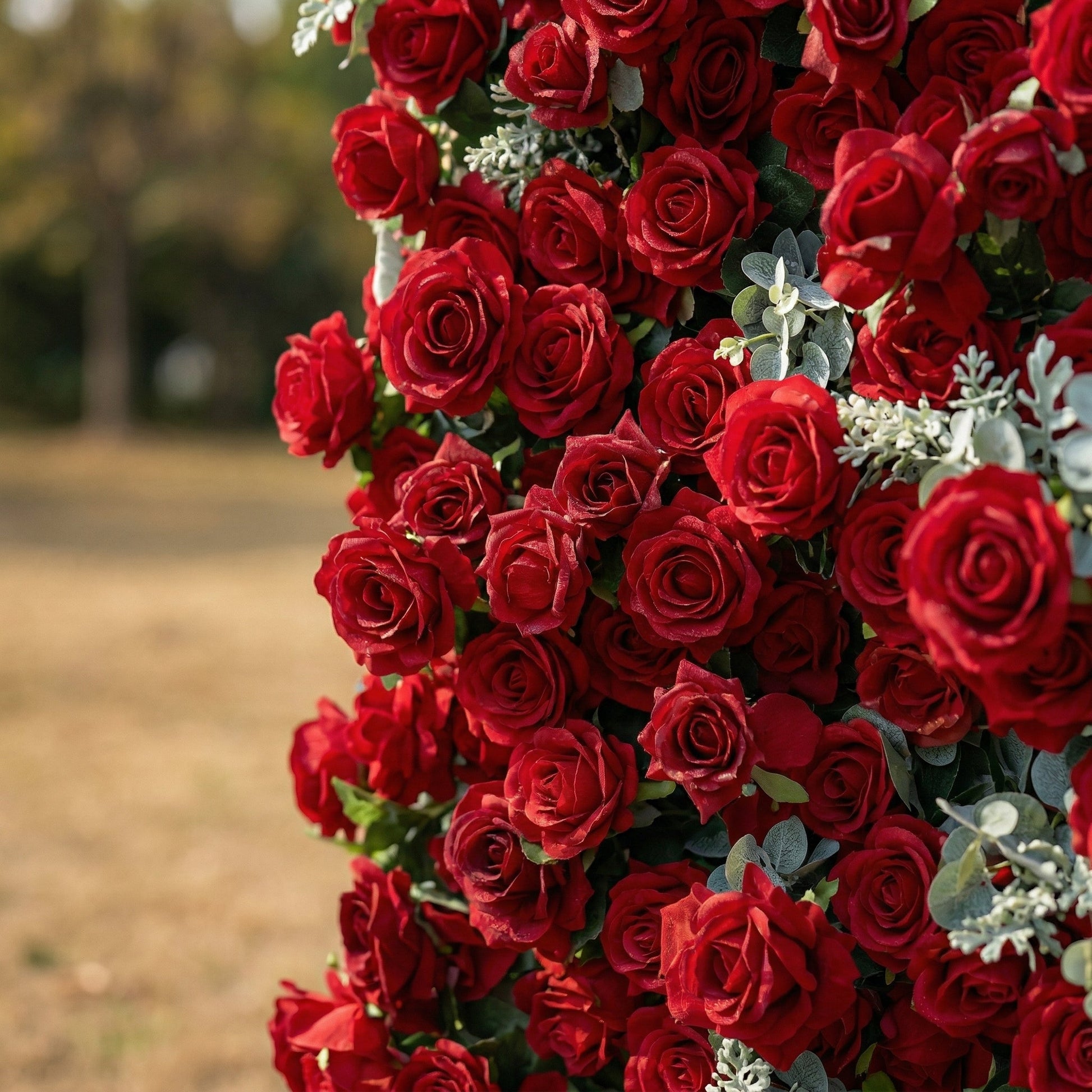 Red rose eucalyptus flower wall close-up