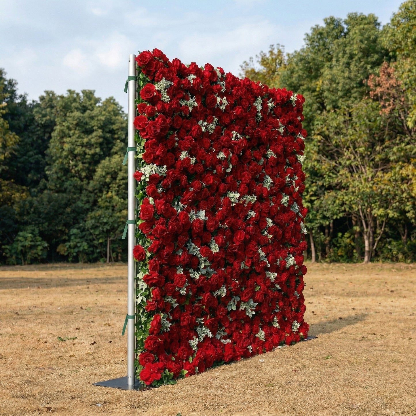 4D red rose flower wall left side view