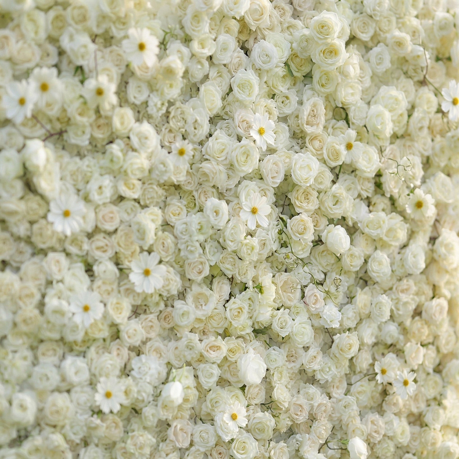 Dimensional white silk floral wall detail