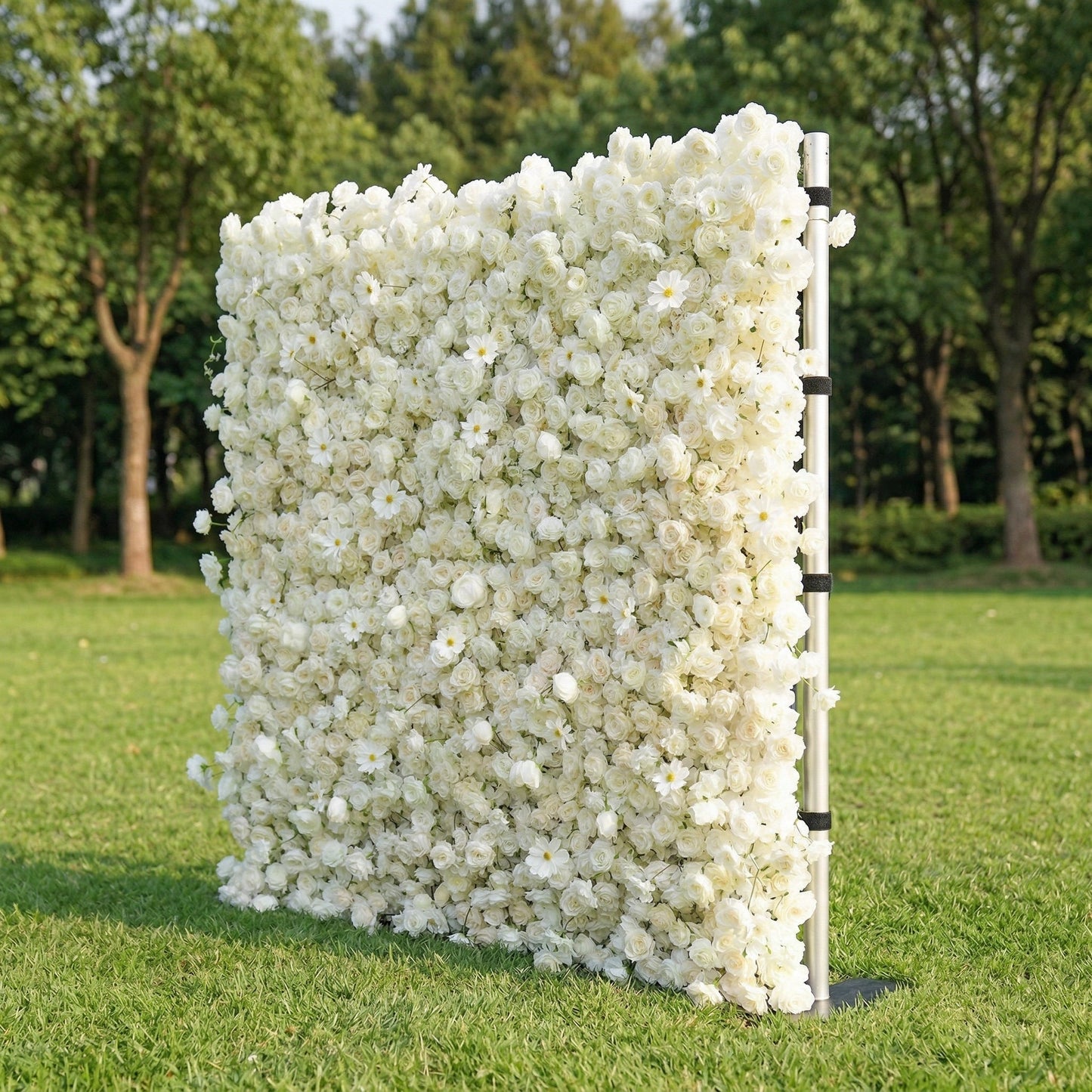 White rose flower wall right side view