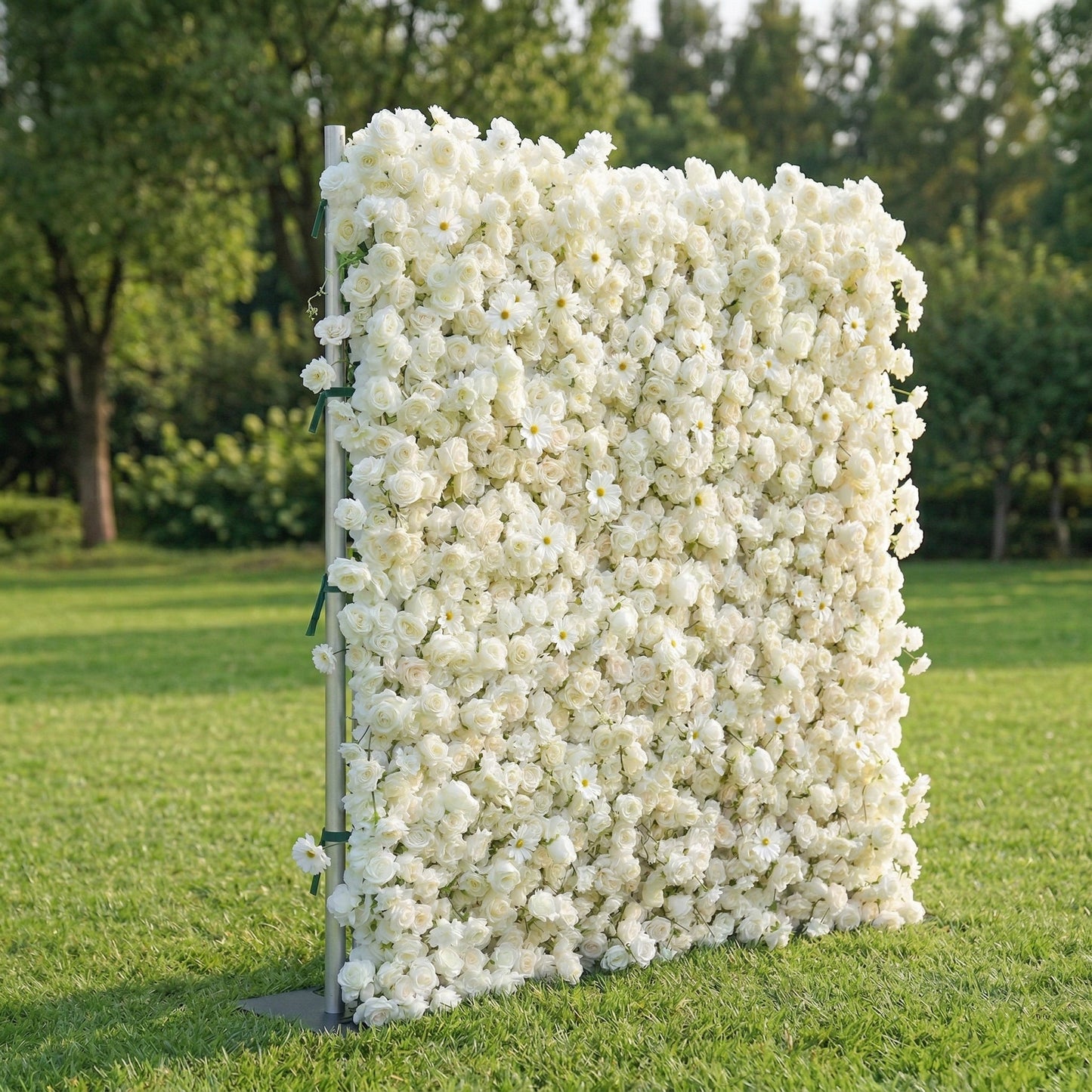 White rose flower wall left side view