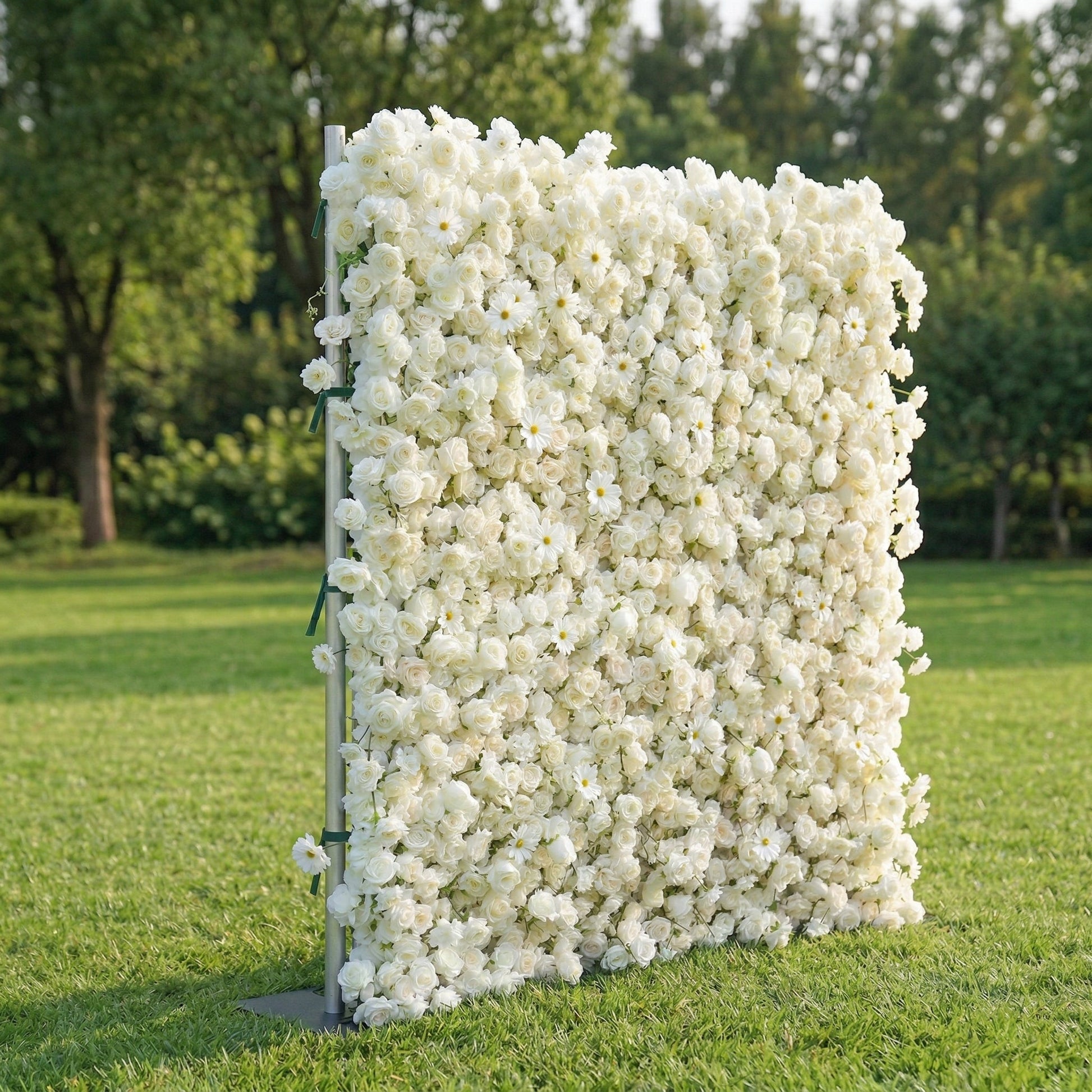 White rose flower wall left side view