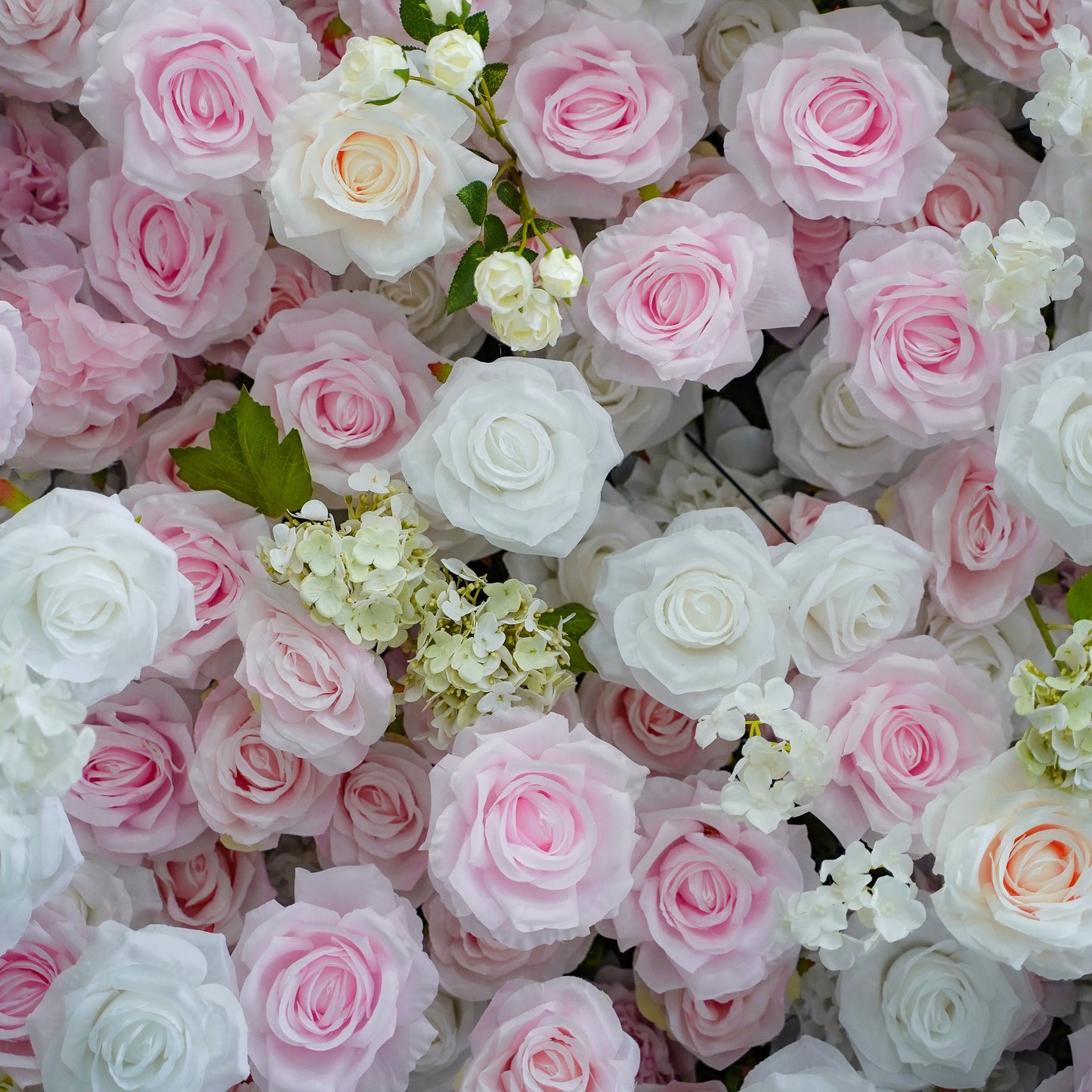 Close-up of blush flower textures and foliage