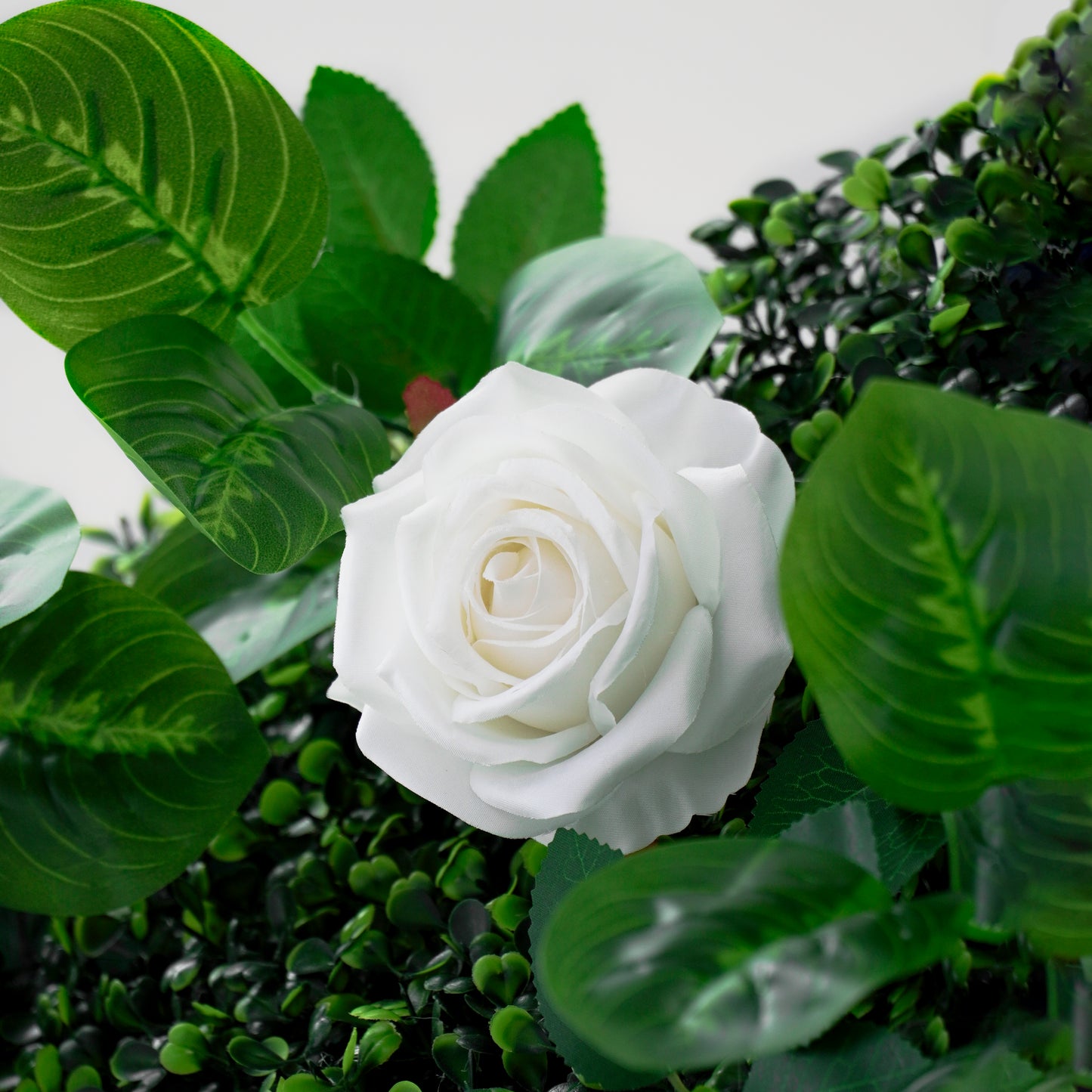 Sfondo floreale 8x8 con rose bianche – Decorazioni modulari per matrimoni ed eventi
