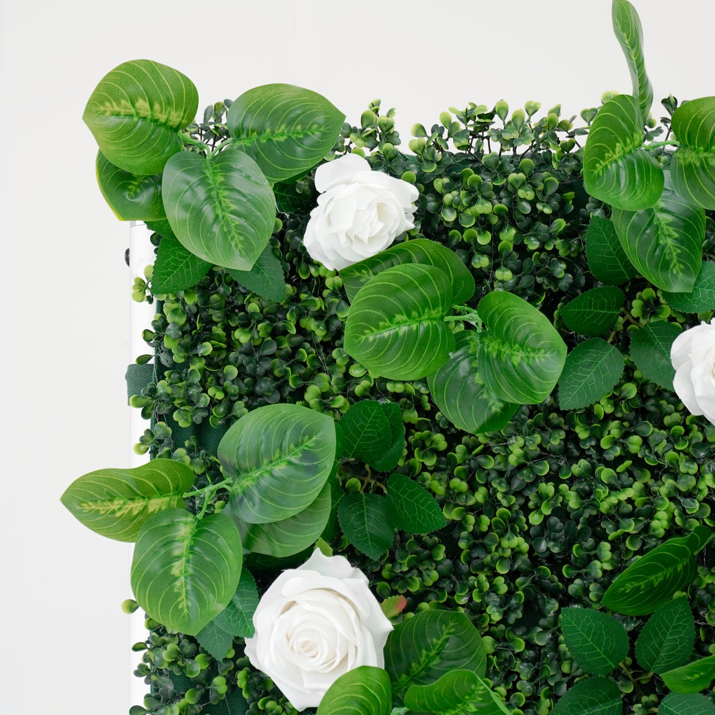 Sfondo floreale 8x8 con rose bianche – Decorazioni modulari per matrimoni ed eventi