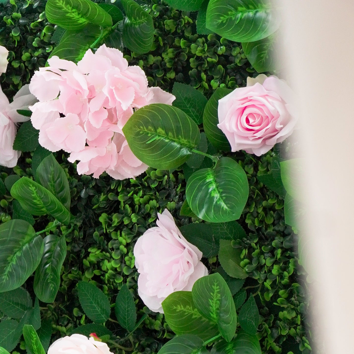 Sfondo da parete floreale di rose rosa 2,4 x 2,4 m per matrimoni ed eventi