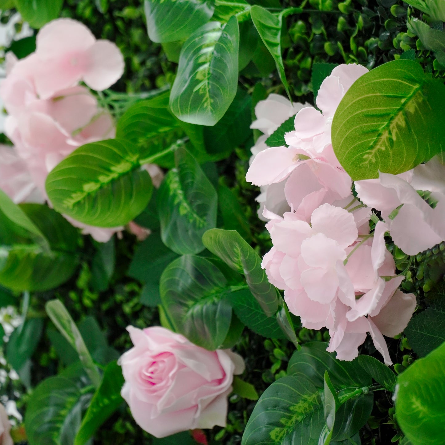 Sfondo da parete floreale di rose rosa 2,4 x 2,4 m per matrimoni ed eventi