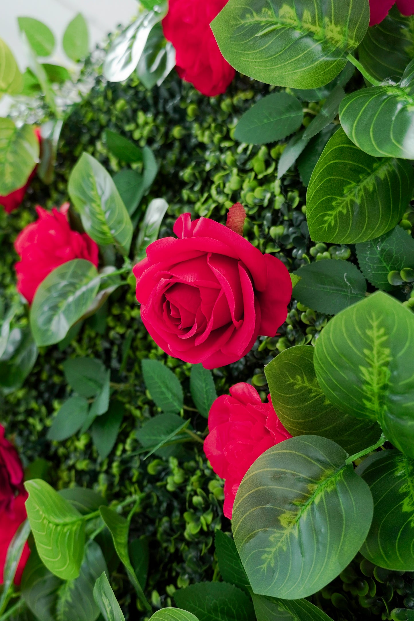 8×8 FT Red Rose Flower Wall Backdrop – Easy Setup, Reusable Event Decor