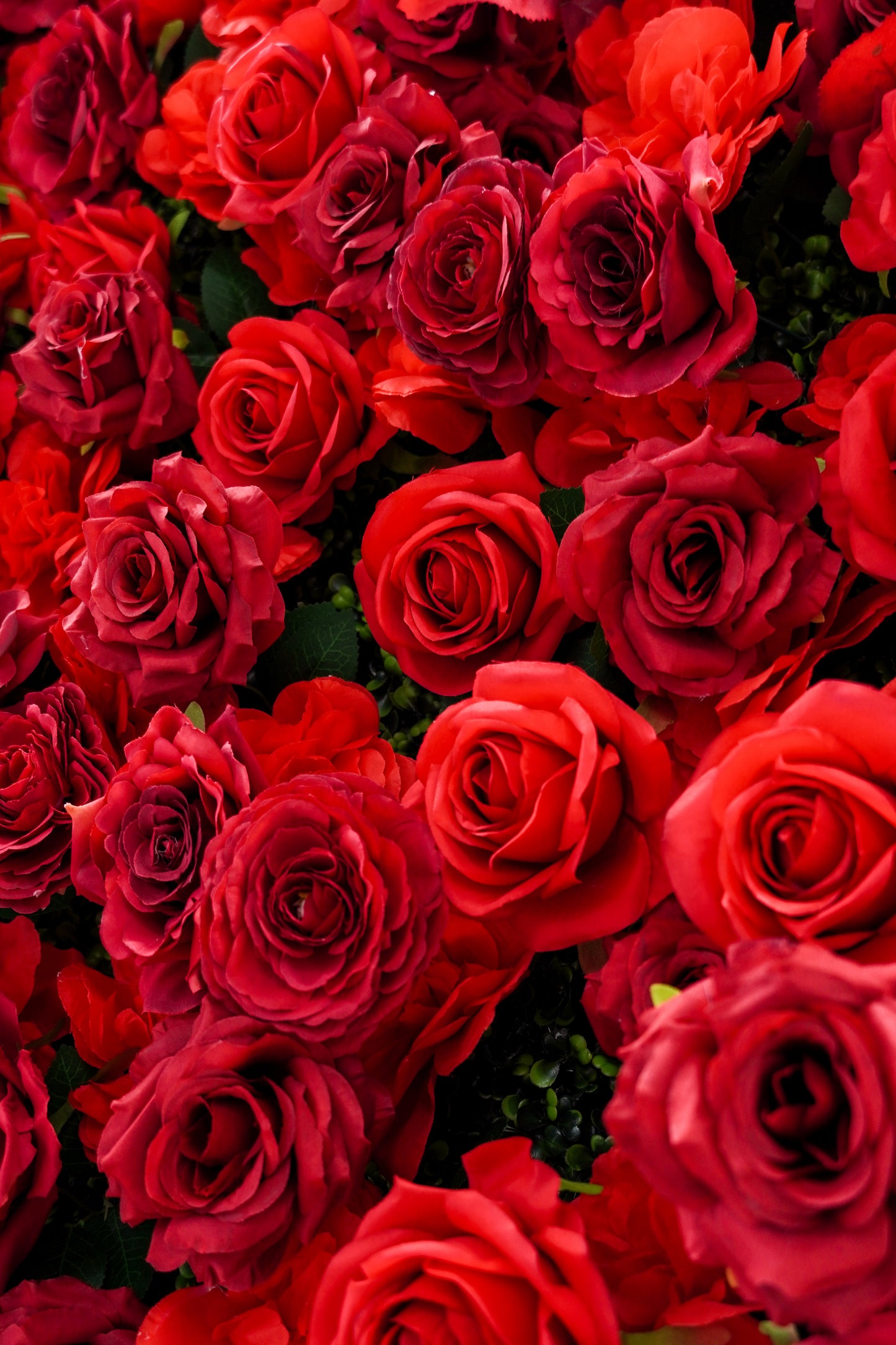 8x8 FT Red Rose Flower Wall Backdrop for Weddings & Events