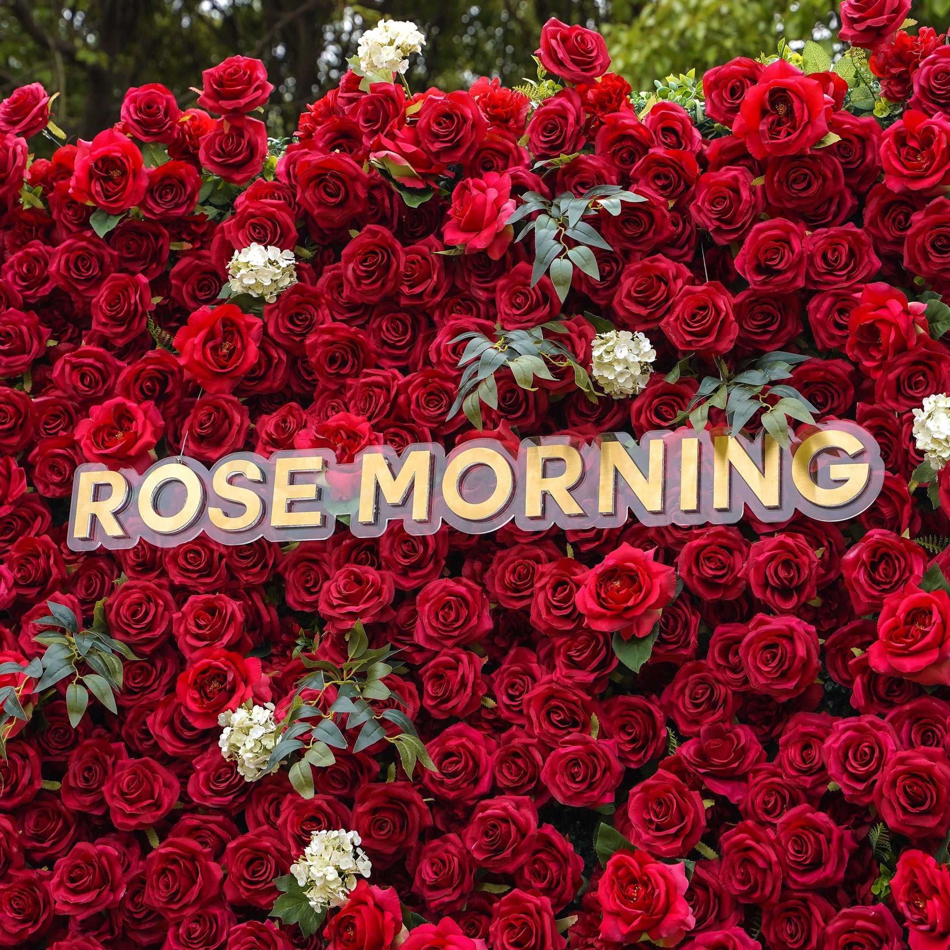 Detailed red rose mix in the backdrop
