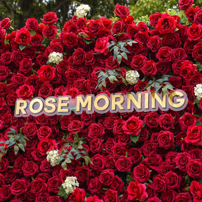 Detailed red rose mix in the backdrop