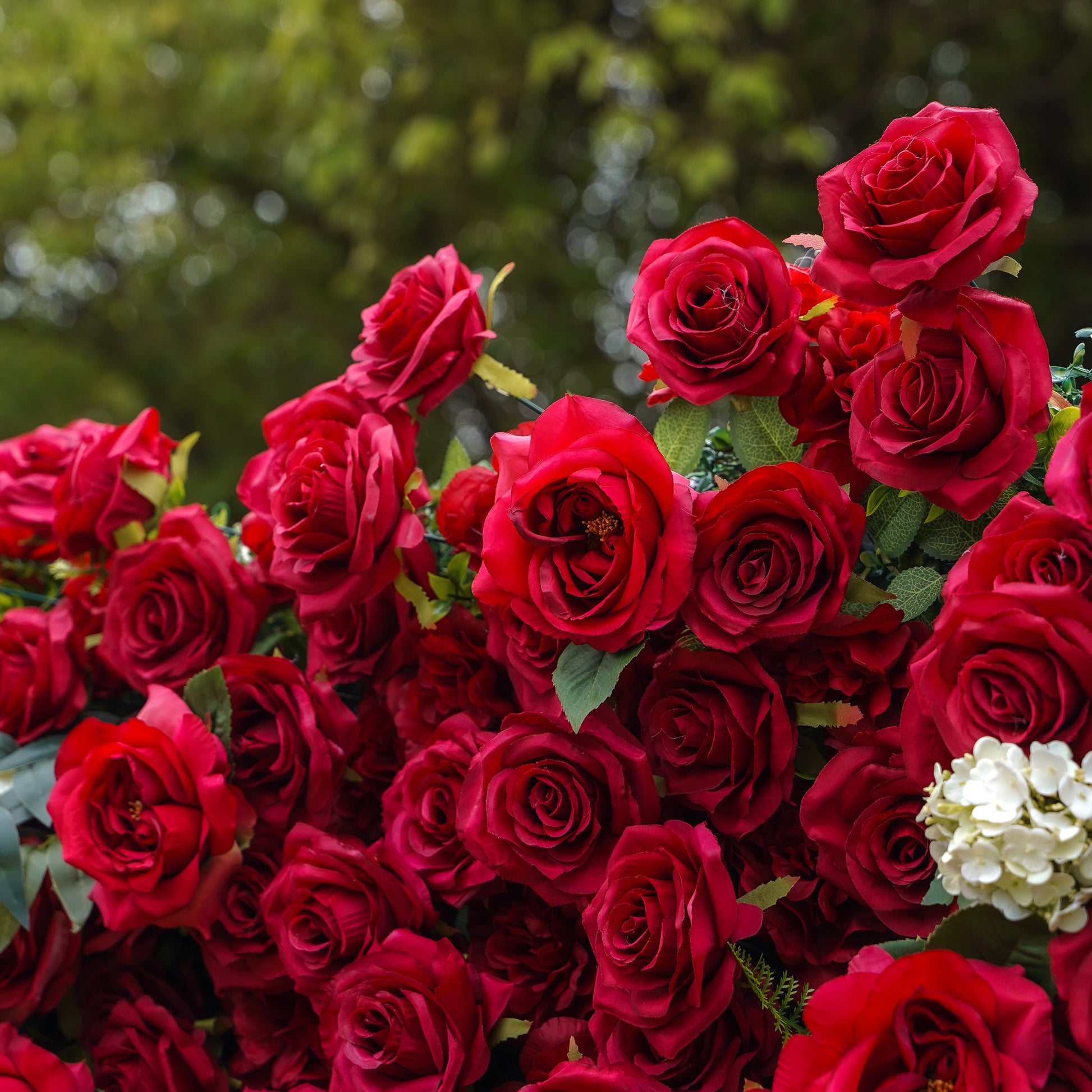 Close-up of red silk roses and white accents on the flower wall