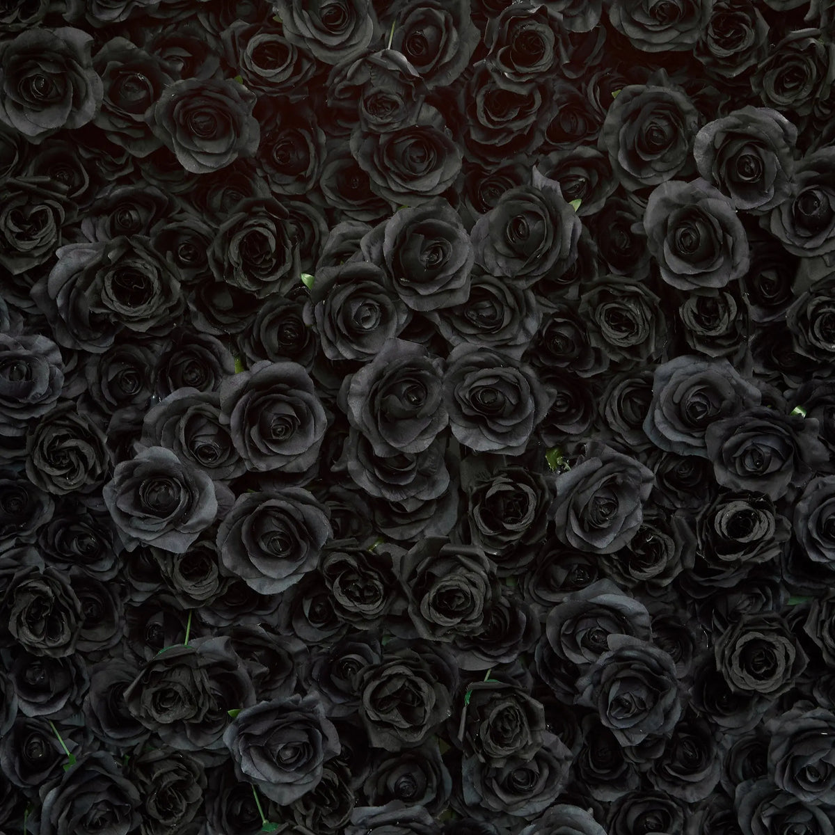 Rosy Luxury 3d Black Rose Flower Wall Rolling Up Floral Backdrop