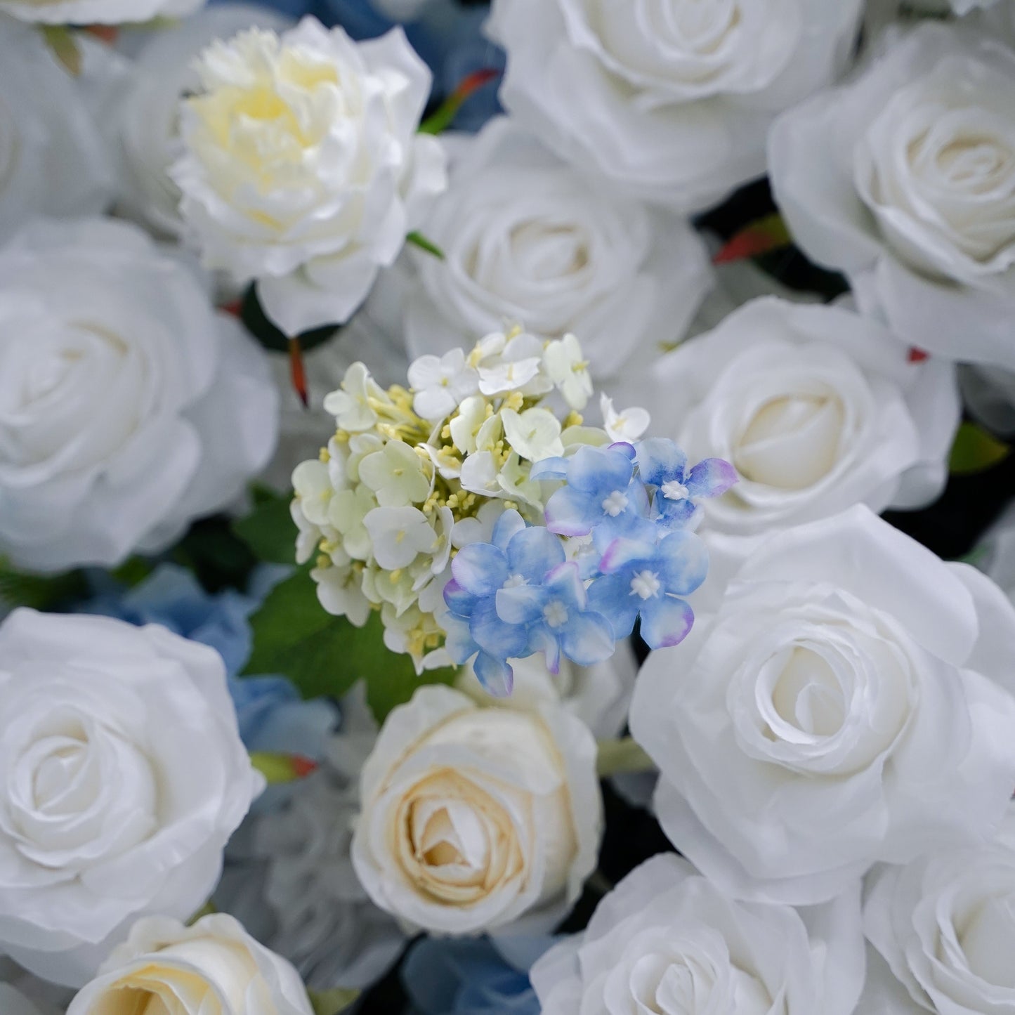 Close-up of blue, white and green flower textures