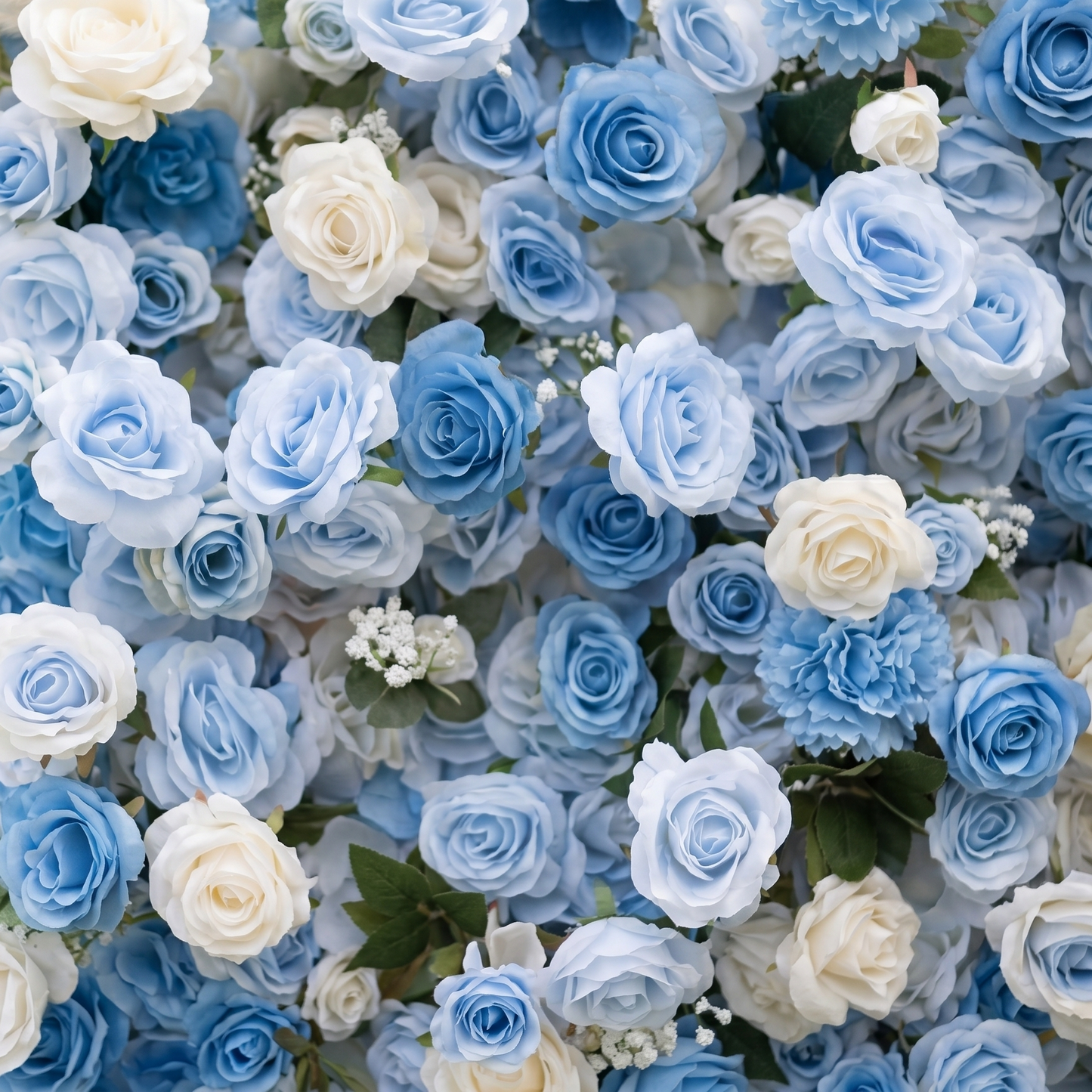 Blue and white silk rose flower wall close-up