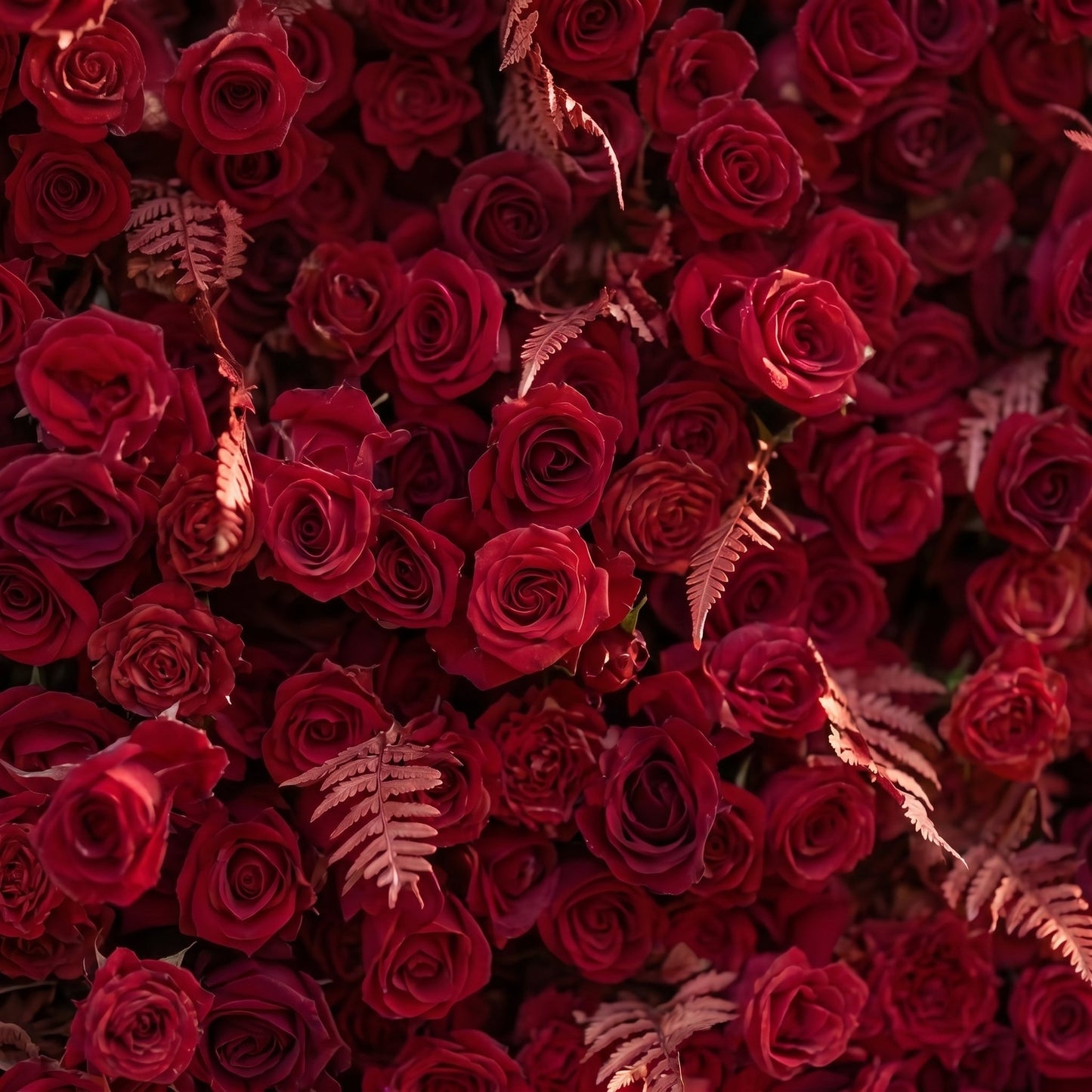 Deep red silk rose flower wall close-up