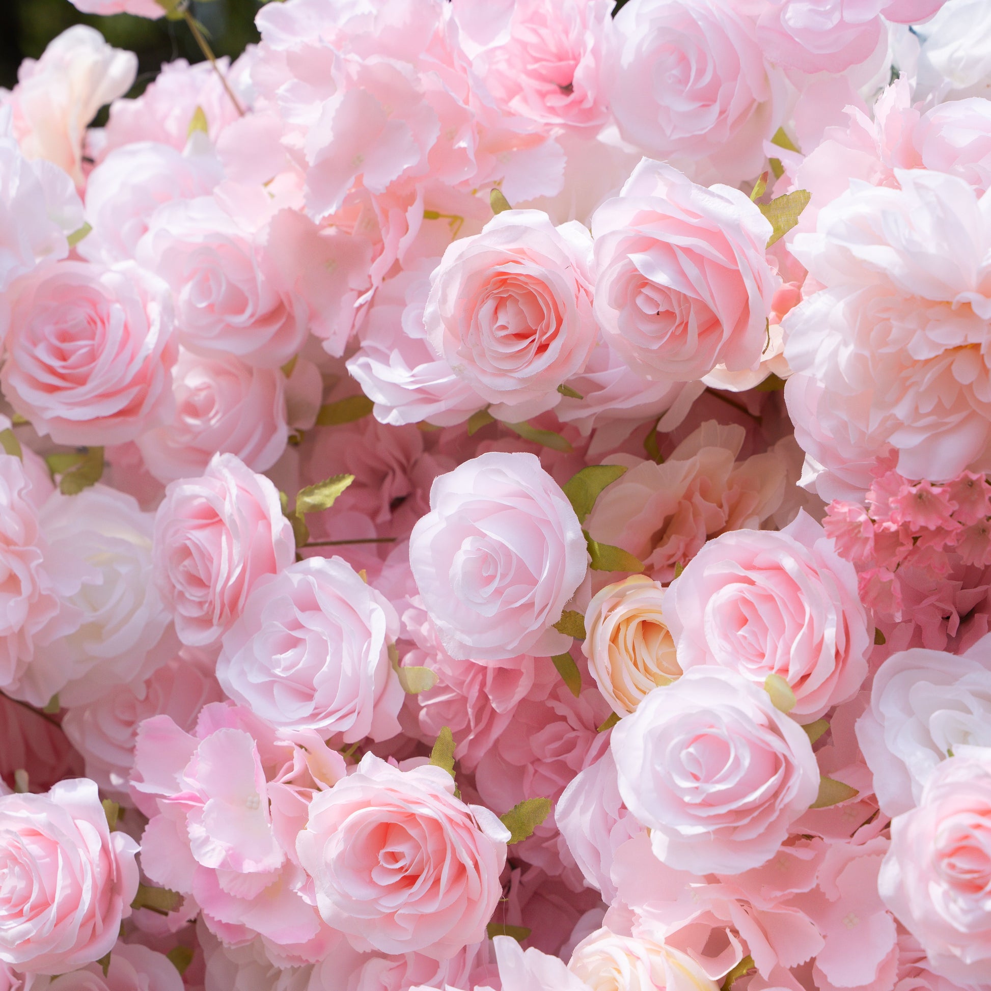 Detailed mix of pink and white flowers in the backdrop