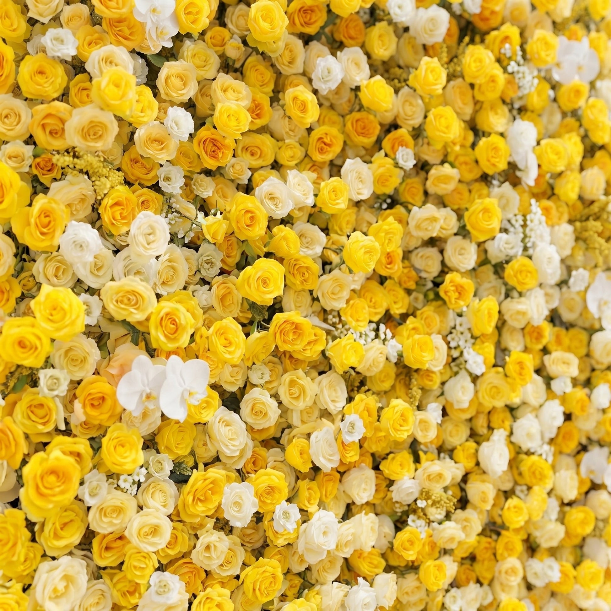 Lemon yellow and white silk flower wall close-up detail