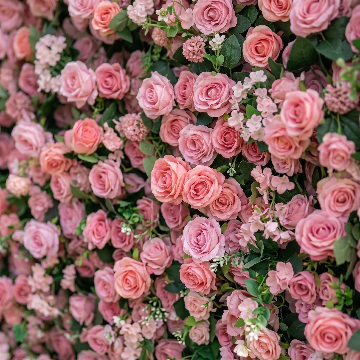 Light red silk rose flower wall close-up