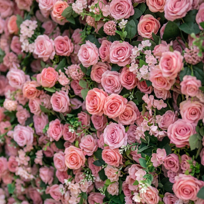 Light red silk rose flower wall close-up