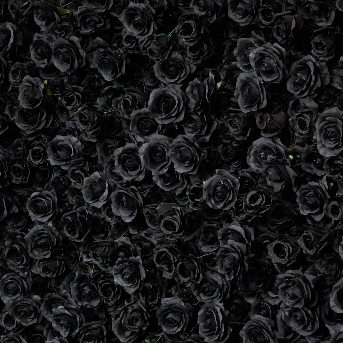 Rosy Luxury 3d Black Rose Flower Wall Rolling Up Floral Backdrop