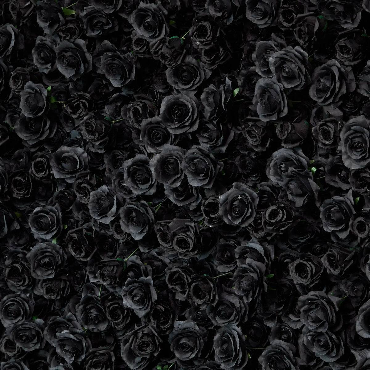 Rosy Luxury 3d Black Rose Flower Wall Rolling Up Floral Backdrop