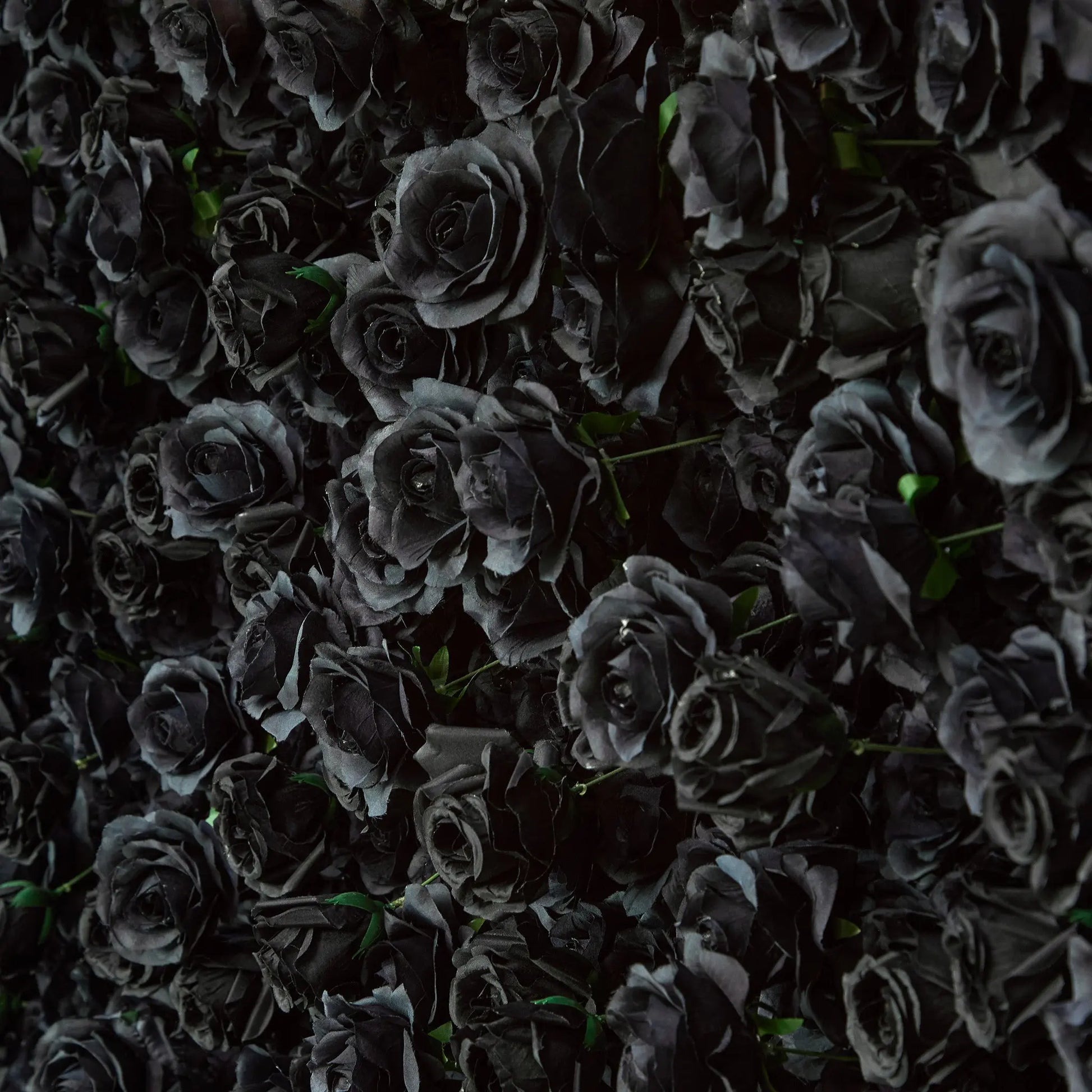 Rosy Luxury 3d Black Rose Flower Wall Rolling Up Floral Backdrop