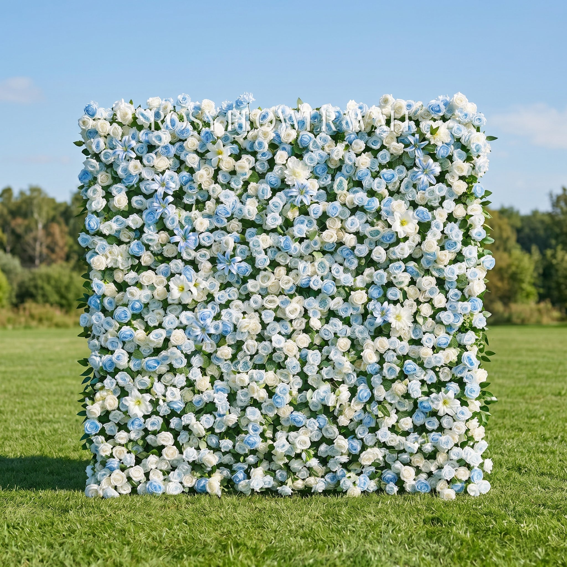 Luxury blue flower wall with transparent Rosy Flower Wall logo