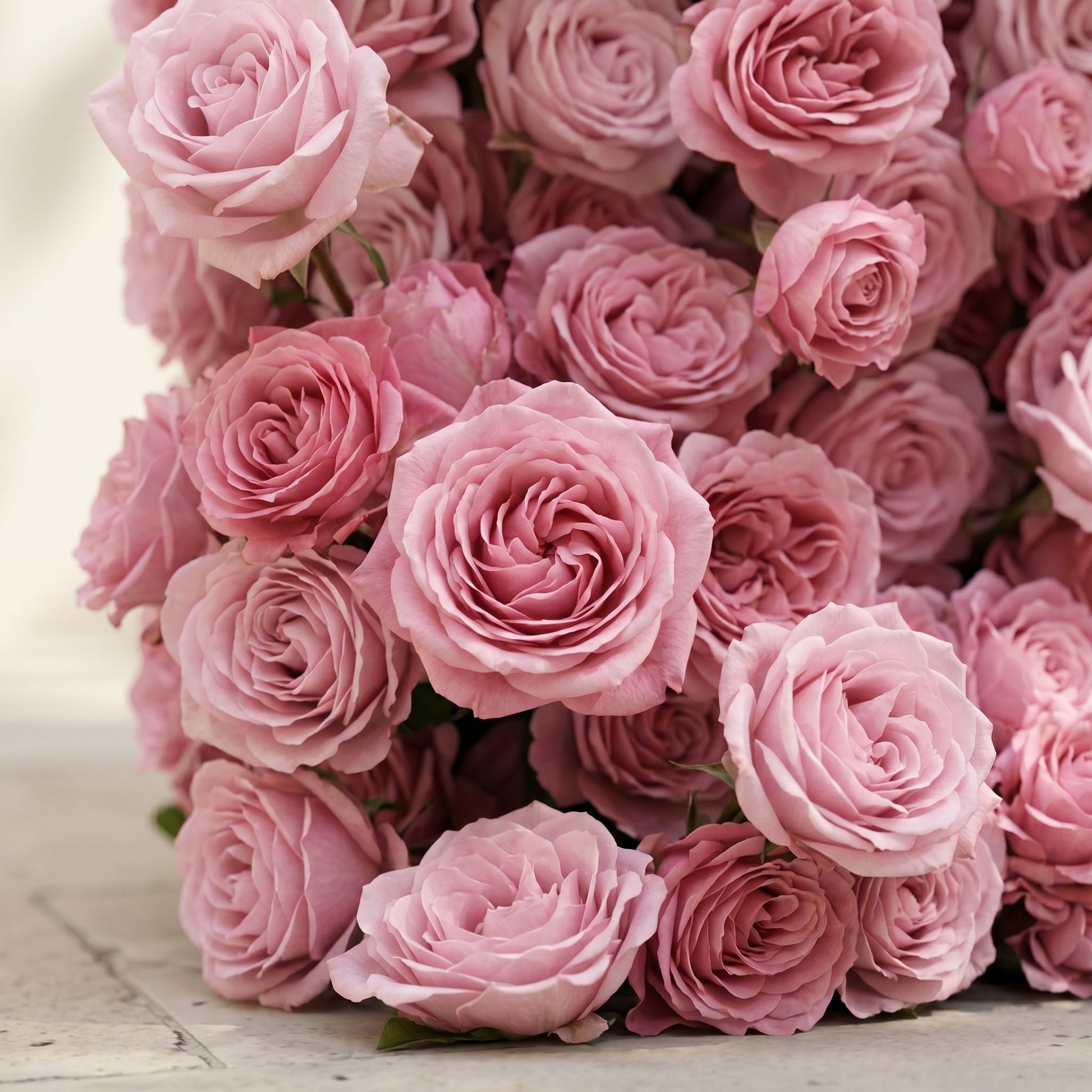 Dimensional pink floral wall texture