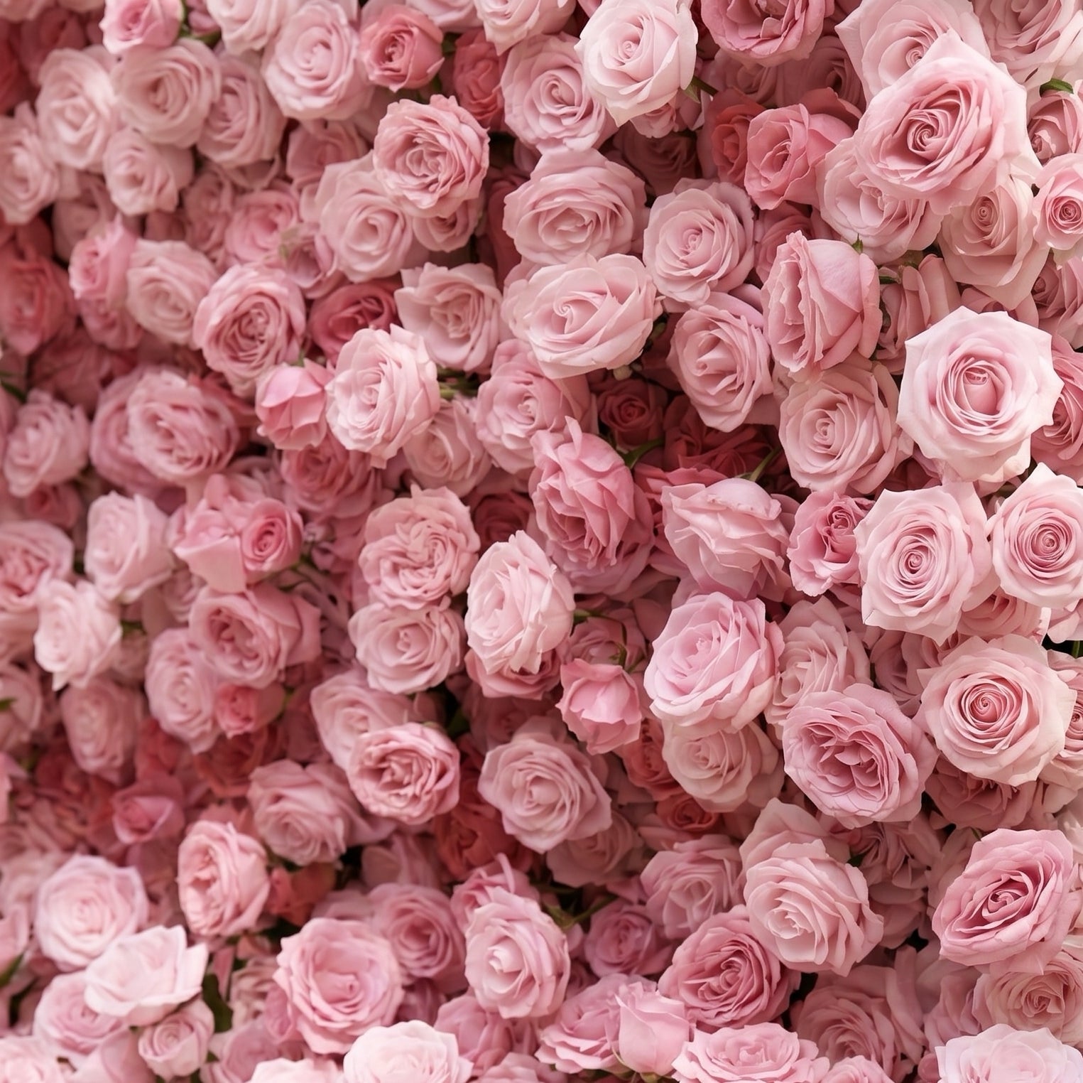 Elegant pink flower backdrop detail