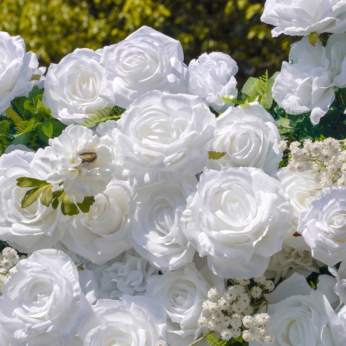 Close-up of white layered rose textures