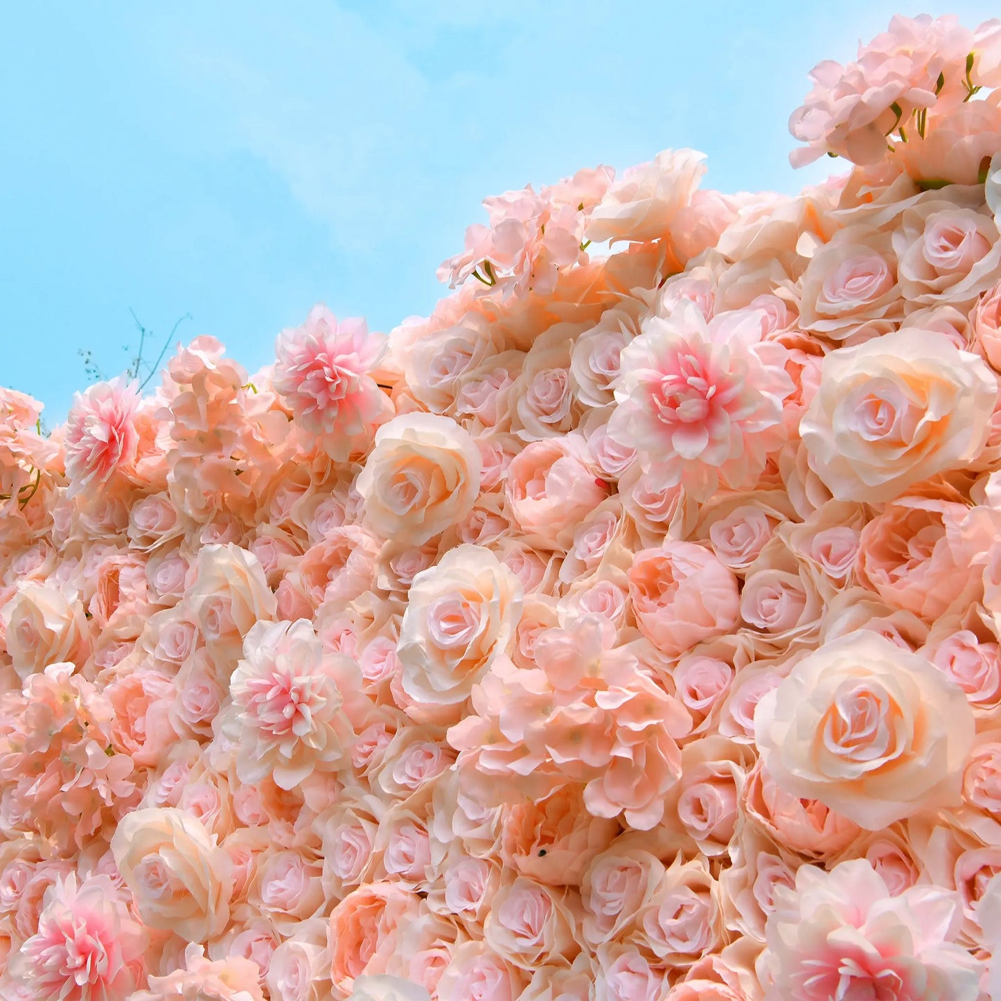 Rosy Hydrangea Rose Dalia Curtain Pink 2D Flower Wall Backdrop